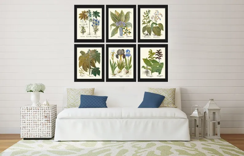 Botanical Print Set, Botanical Prints, Art Prints, Giclee, Blue Botanical Prints, Gallery Art, Wall Art, Blue Flower Prints to Frame BESL