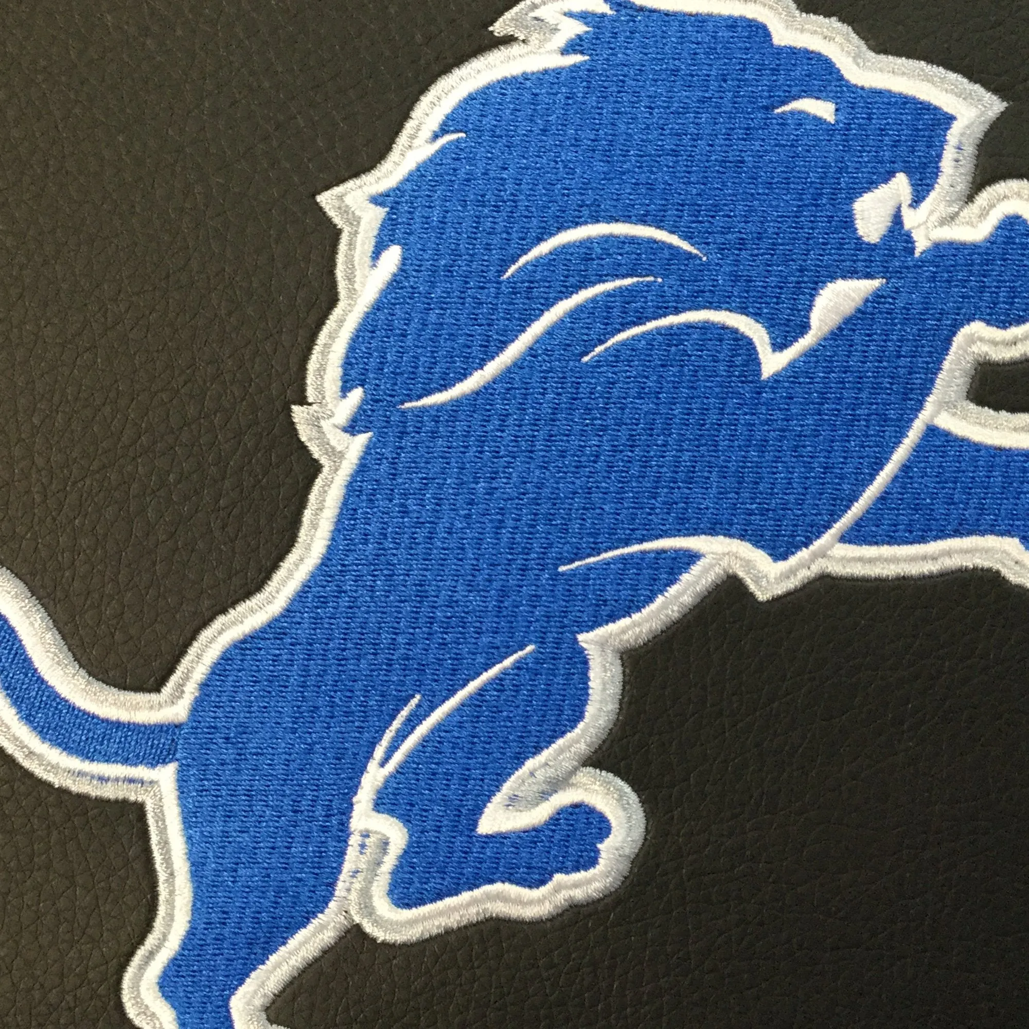 Detroit Lions Primary Logo Panel