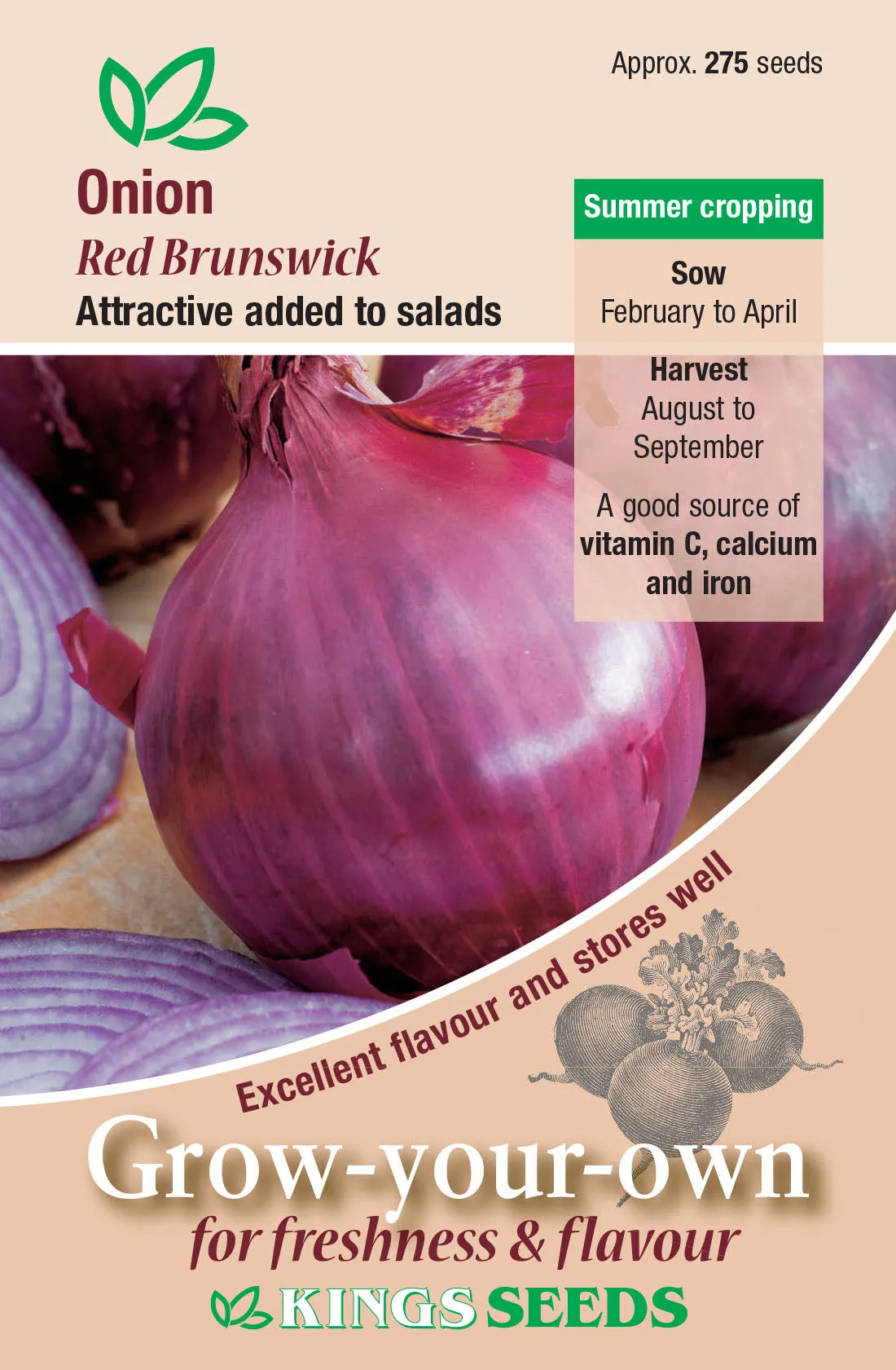 Kings Seeds Onion Red Brunswick Seeds